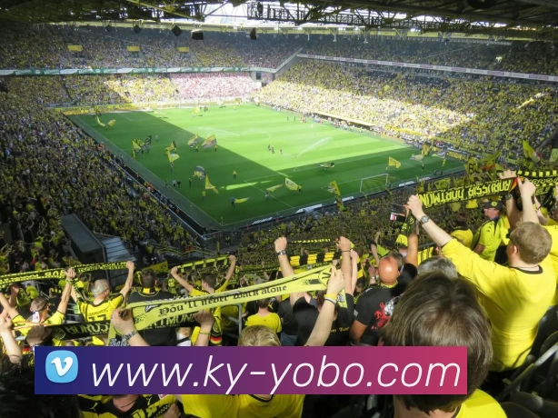 App Interface Preview